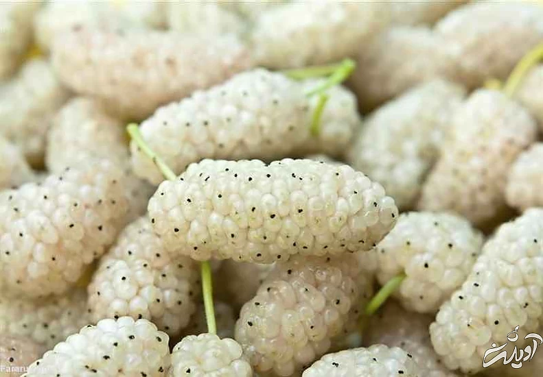 درست کردن مربای توت سفید